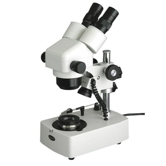 Portable Mini Microscope Exquisite Small Concise Can Be Used for Jewelry Identification for School for Experiment for Manual Operation chenggong Microscope Magnifier 